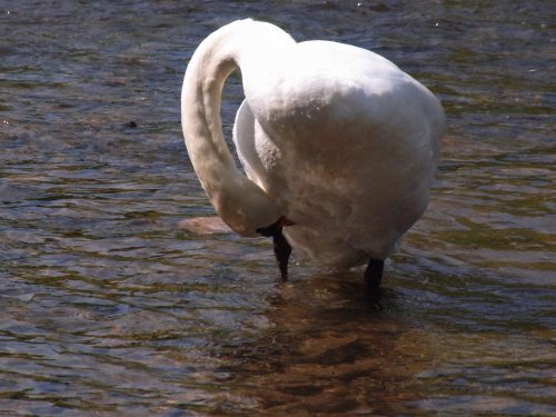 Hay-on-Wye