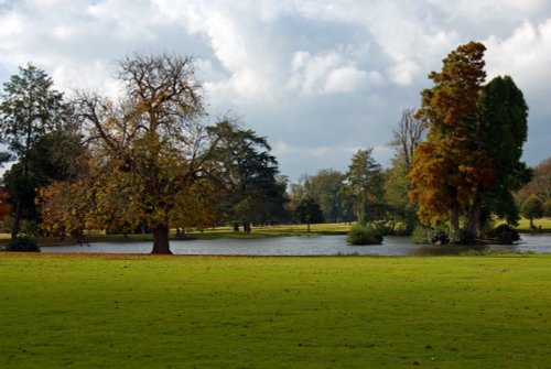 Petworth House & Park