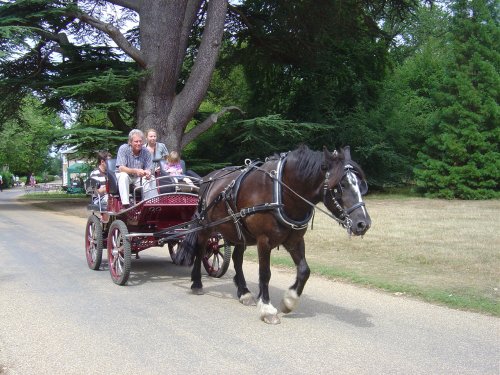 Ickworth House