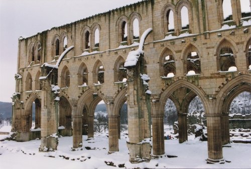 Arches in Snow