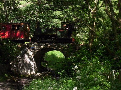 Dolgoch