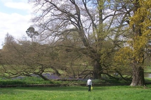 Blickling