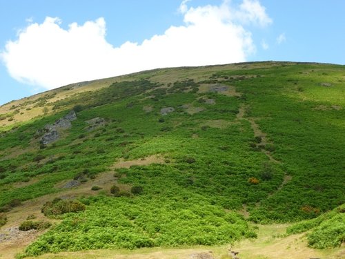 The Long Mynd