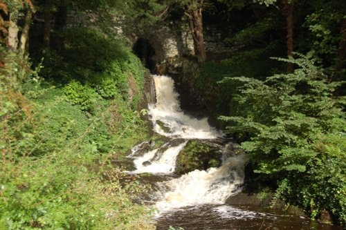 Clapham Beck