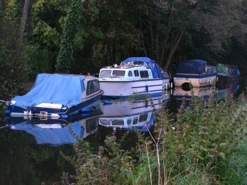 Canal Evening