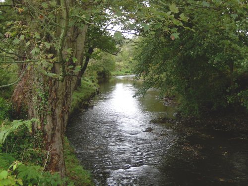 River Esk near Grosmont