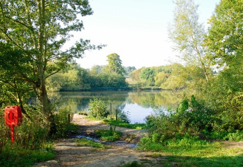 The Lake Mote Park