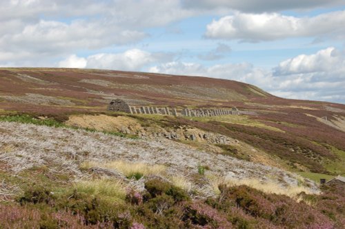 Peat Store