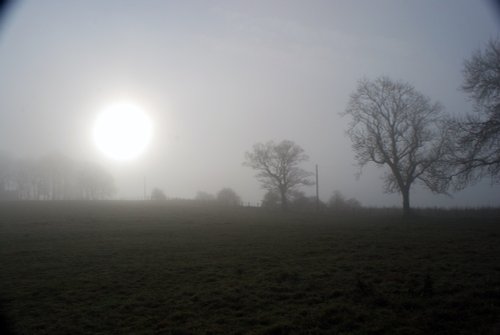 Misty Sunrise