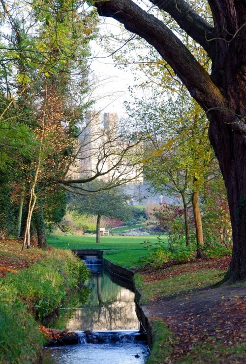 Castle in the trees