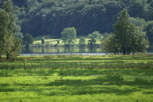 Grasmere