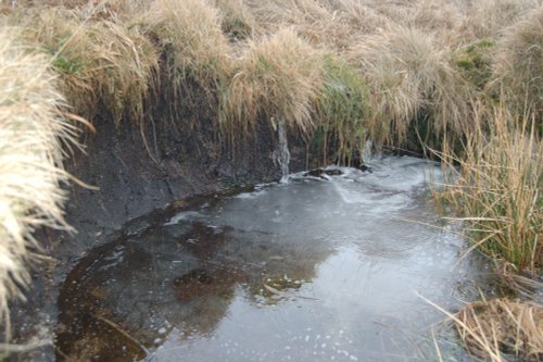 Ice on Dartmoor