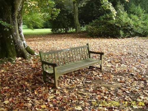 Westonbirt Arboretum