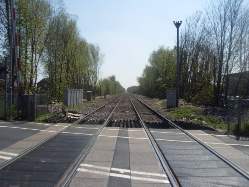 Crossing at Askern Moss Road