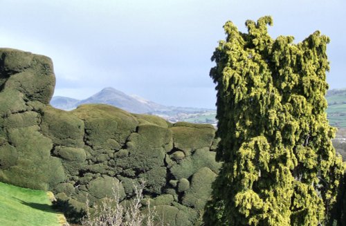 Powis Castle & Garden