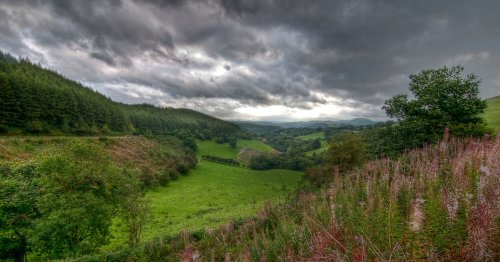 Bala countryside