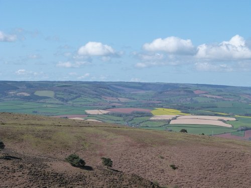 Quantock Hills