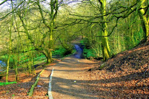 Daisy Nook Country Park