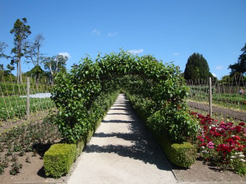 Lost Gardens of Heligan