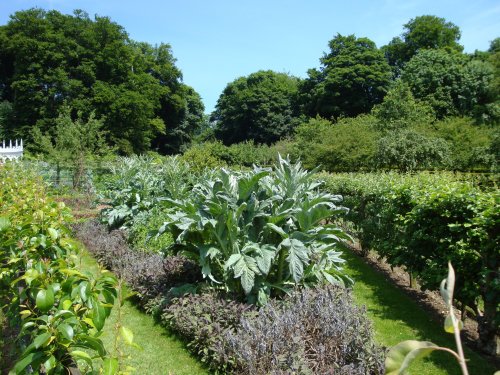 Painswick Rococo Gardens