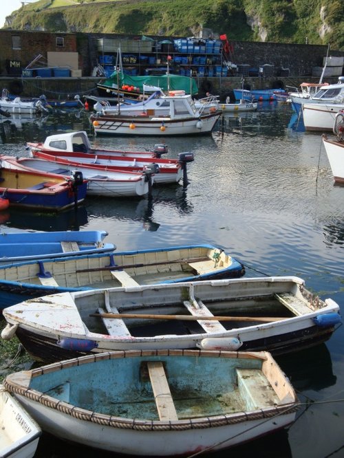 Mevagissey June 2009