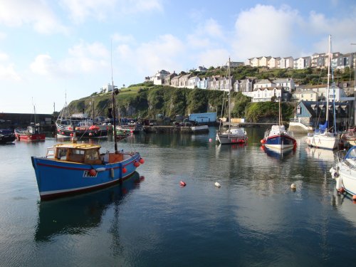 Mevagissey June 2009