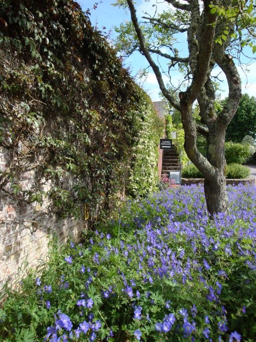 Trelissick Garden