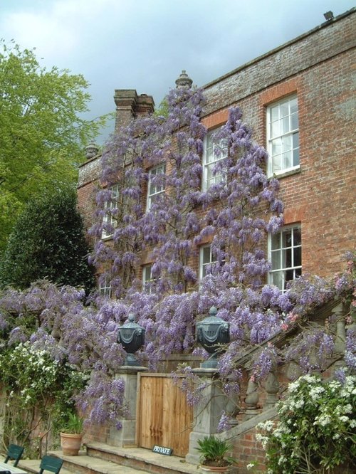 Pashley Manor Gardens, May 2001