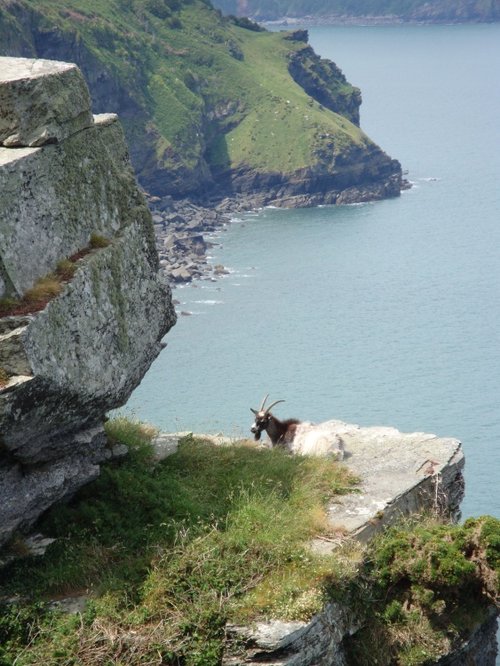 Lynton and Lynmouth, June 2009