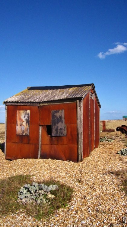 Dungeness