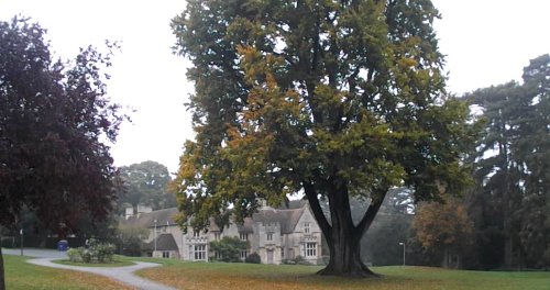 Rushden Hall Park