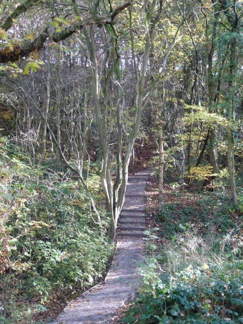 Saltwells Local Nature Reserve