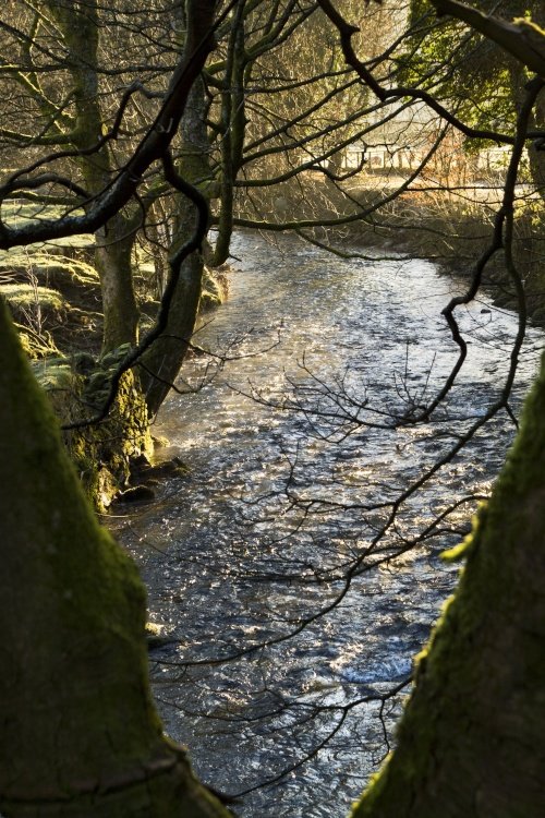 River Rothay 1