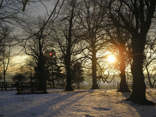 The Spinney near Old John