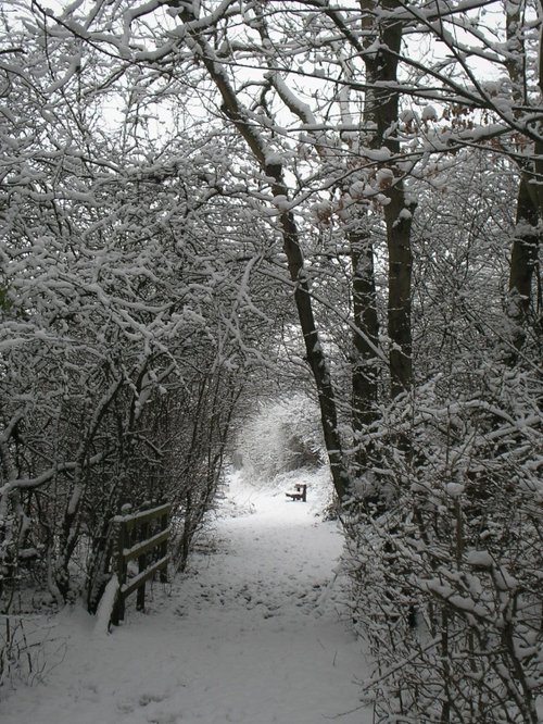 Walking in the Snow at Watermead Country Park