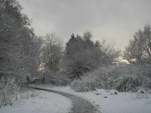 Walking in the Snow at Watermead Country Park