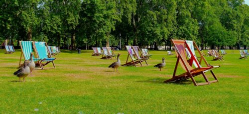 Morning - St James' Park