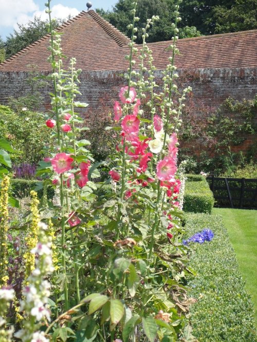 Leeds Castle Gardens, Maidstone