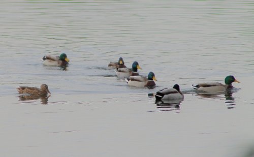 Kingsbury Water Park