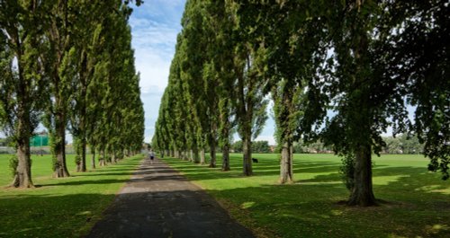 Costello Park, Hull