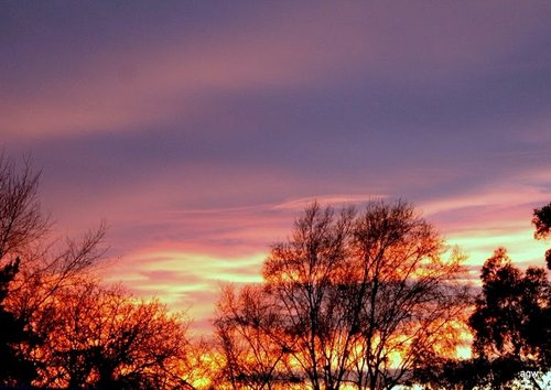 Sunset from Fiske Gardens