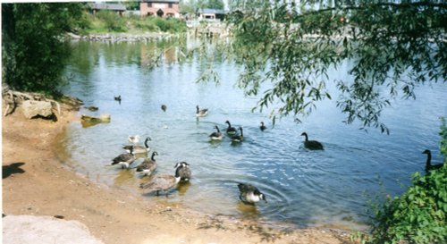 Daventry Country Park