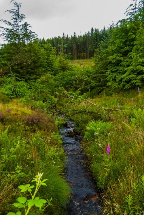 Isle of Arran