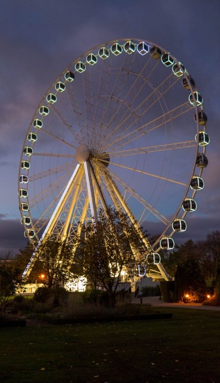 The York Eye