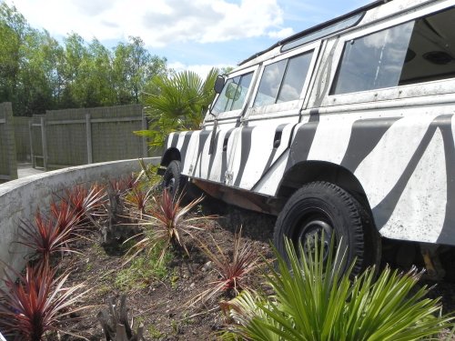 Maze World at Dobbies Garden World