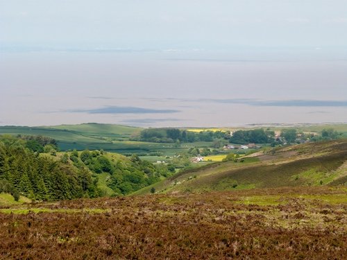 Quantock Hills