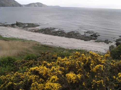 Part of the path around the Island