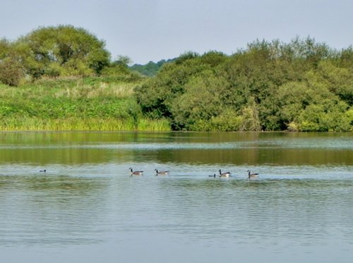 Lake view