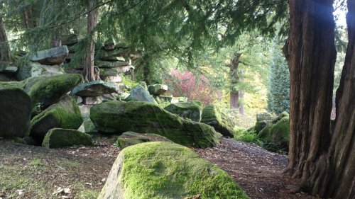 Through the trees at Chatsworth Gardens