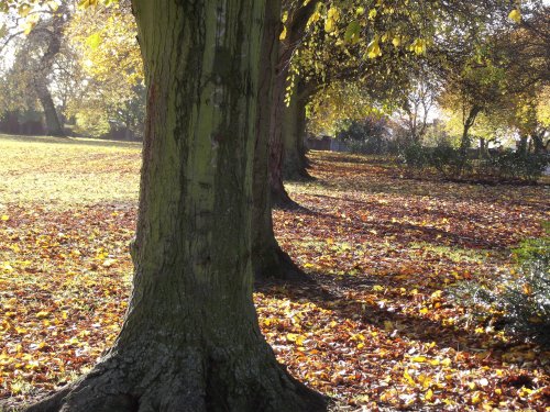 Rushden Hall Park